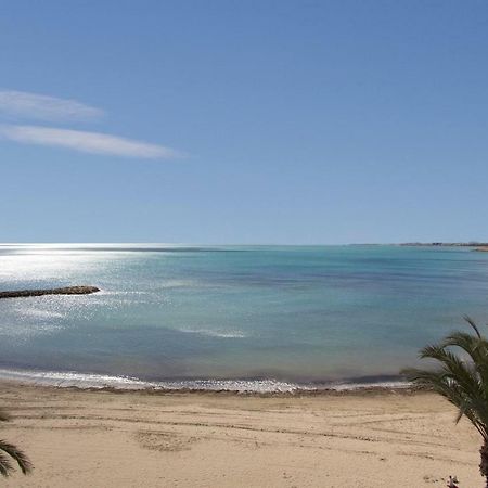 Homely Apartments Noruega Torrevieja Zewnętrze zdjęcie